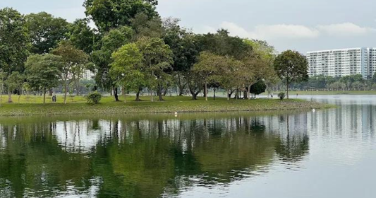 Body of woman, 20, found floating in Bedok Reservoir Park waters