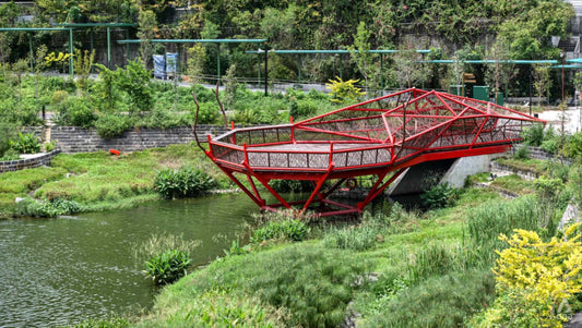 Bidadari Park: A New Oasis Inspired by Winnie the Pooh’s Forest, Featuring Lake, Trails, and a Treehouse Playground