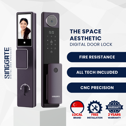 FR052 3D Face & Palm Vein Space Digital Door Lock