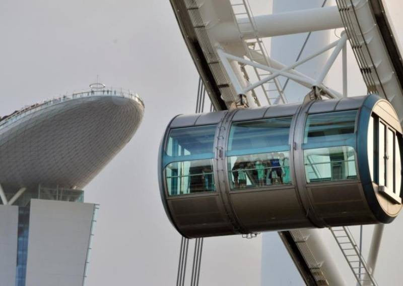 Singapore Flyer suspended after 'technical issue' detected