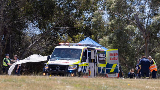Five children killed in Australia bouncy castle tragedy