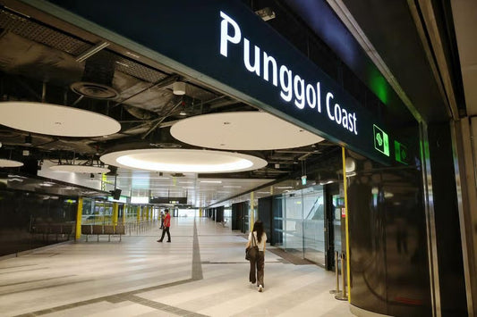 New Punggol Coast Bus Interchange Opening on June 29!