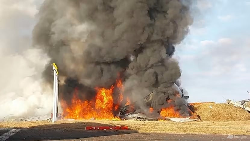 Tragic Air Crash at South Korea's Muan Airport Claims Lives