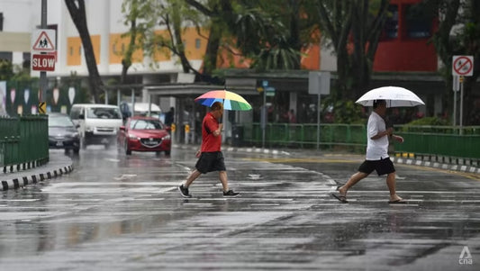 2024 Set to Be the Hottest Year on Record: Insights for Singapore