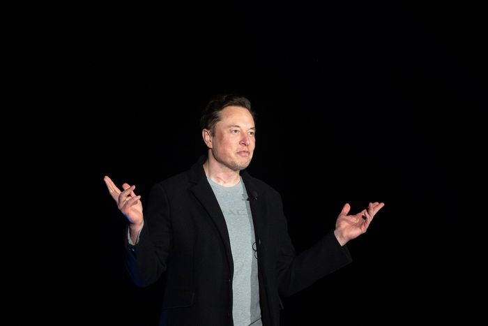 Elon Musk Just Bought a Big Stake in Twitter Stock.