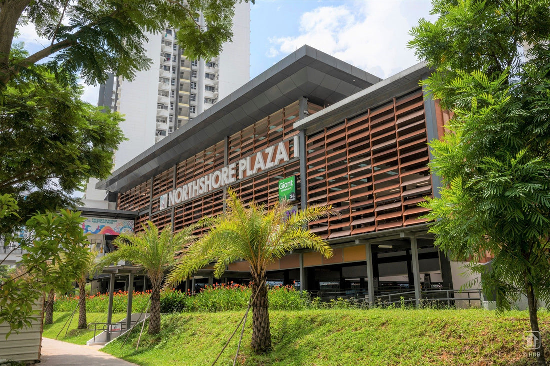 Northshore Plaza In Punggol Opens With 52 Shops, Has Gorgeous Sea Views & Eco-Friendly Features