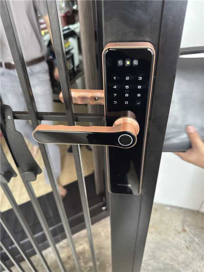 Singgate FM025 with 3D face + Video Calling Functions