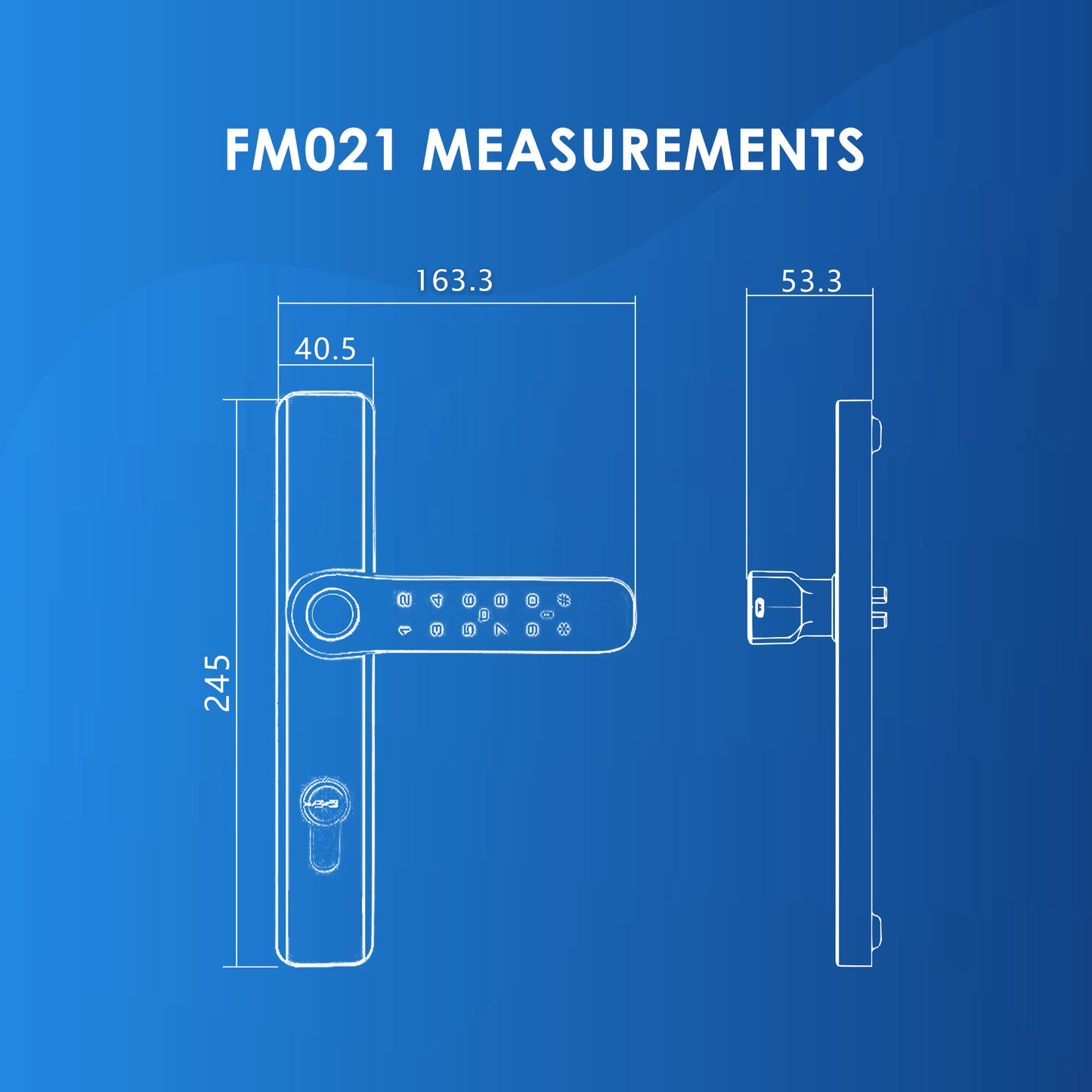 Bundle FR052 3D Face & Palm Vein Recognition + FM021 Gate Digital Lock