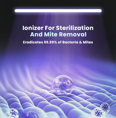 LS060 6x Blower Double Arm & Voice Control Automated Laundry Rack